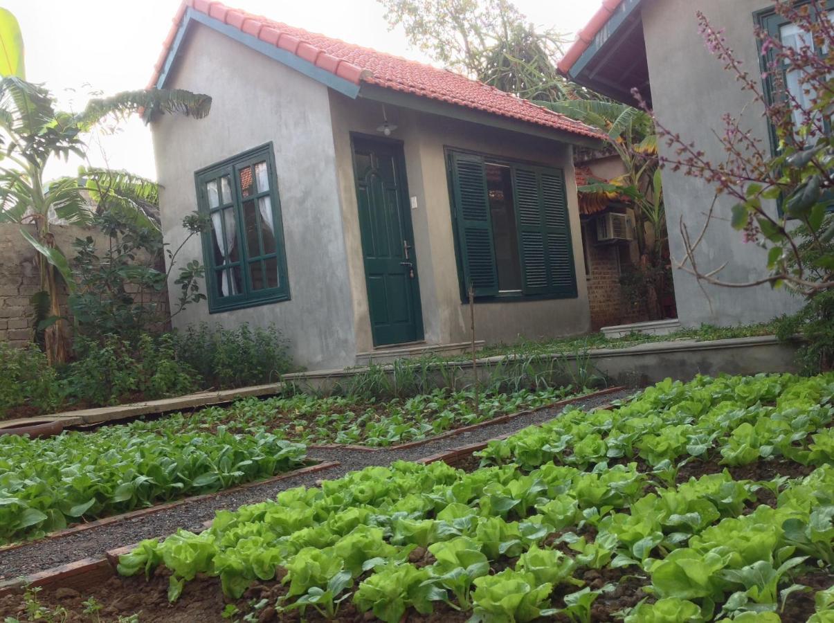 Ferienwohnung Tam Coc Eco House Ninh Binh Exterior foto